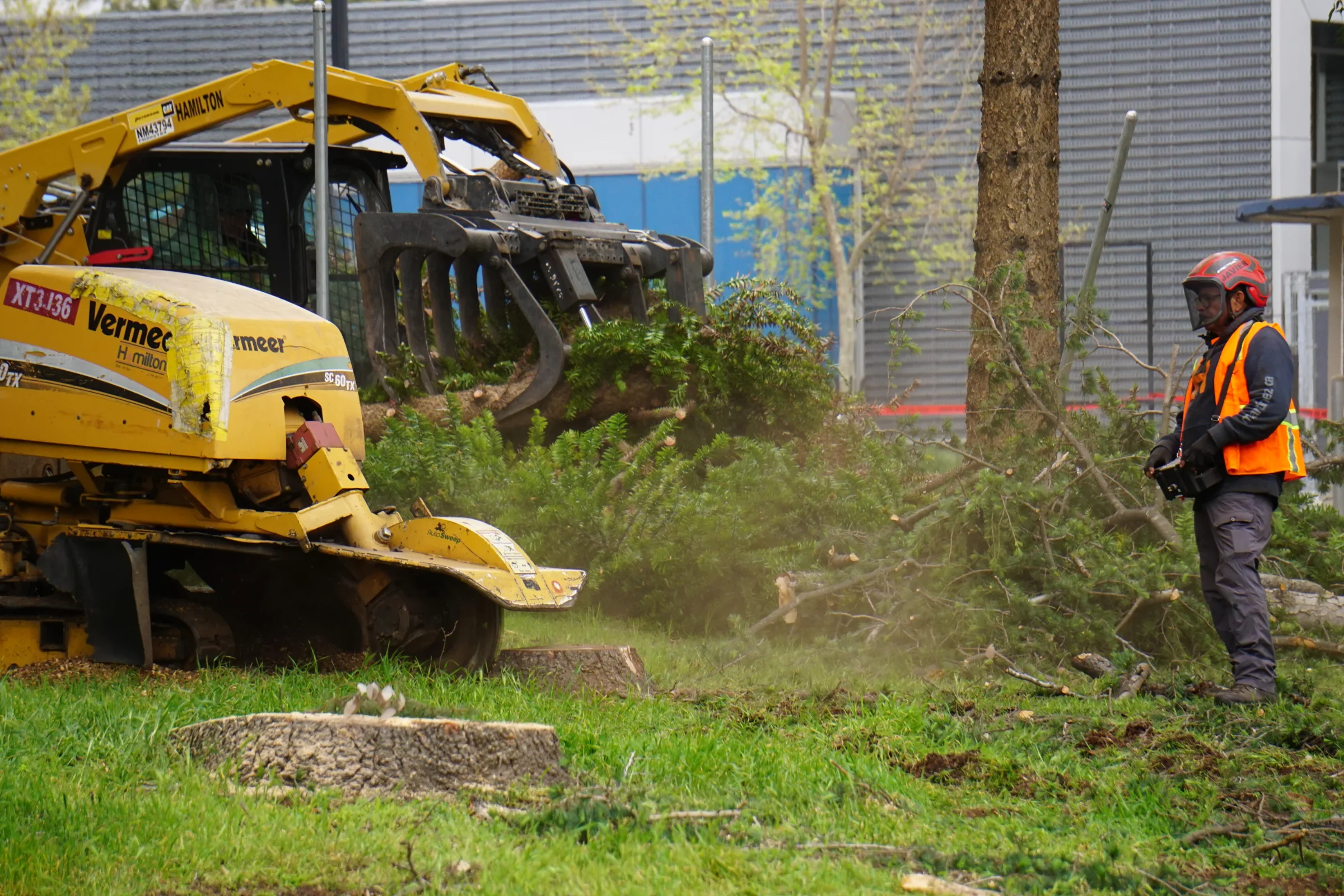 Stump Grinding