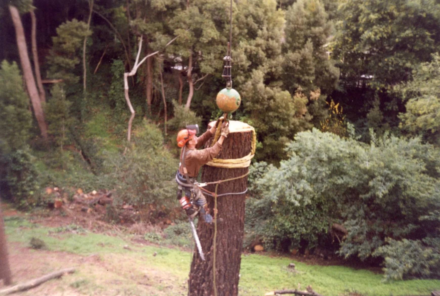 Old photo of Grant Hamilton working