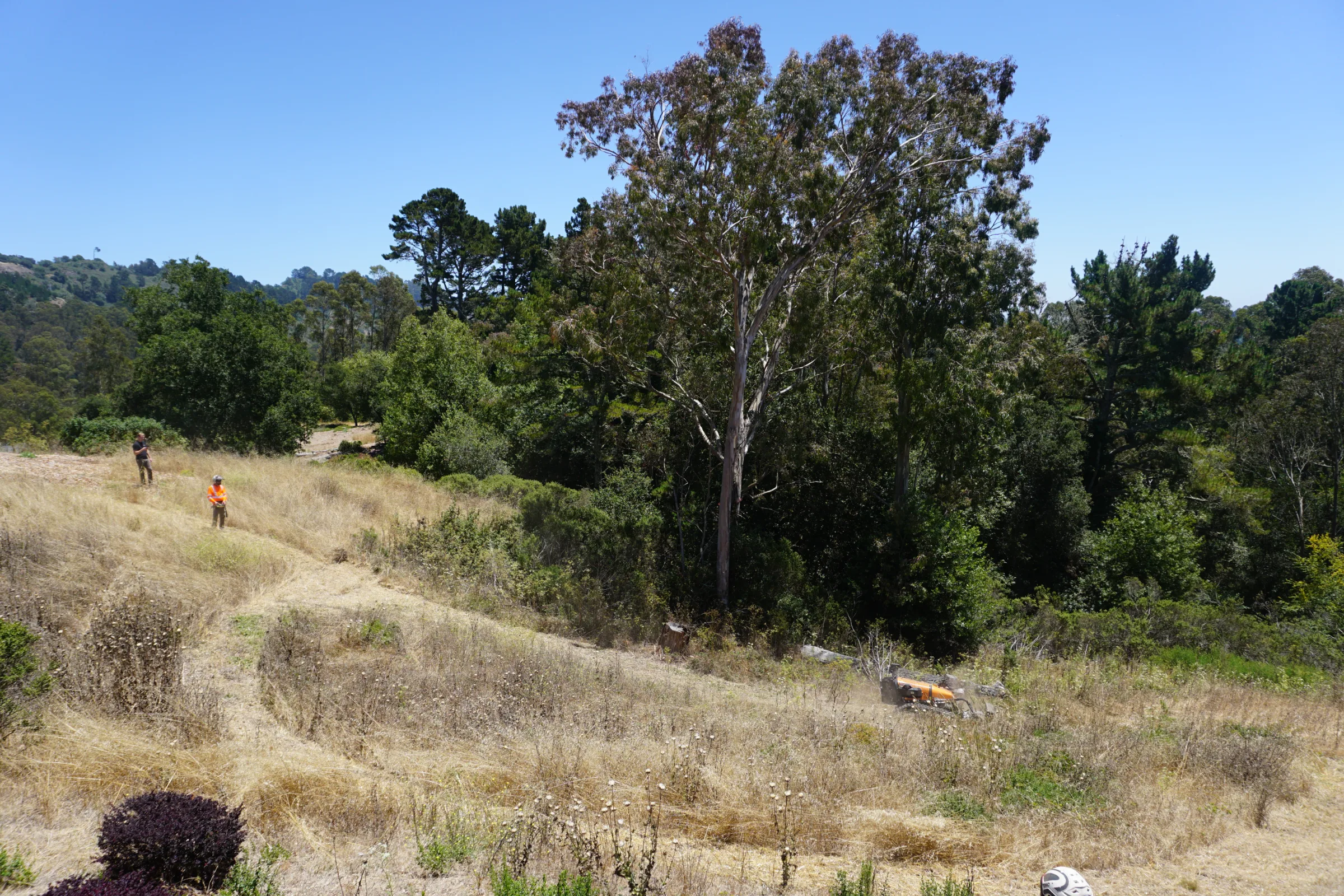 Fire Mitigation UC Berkeley