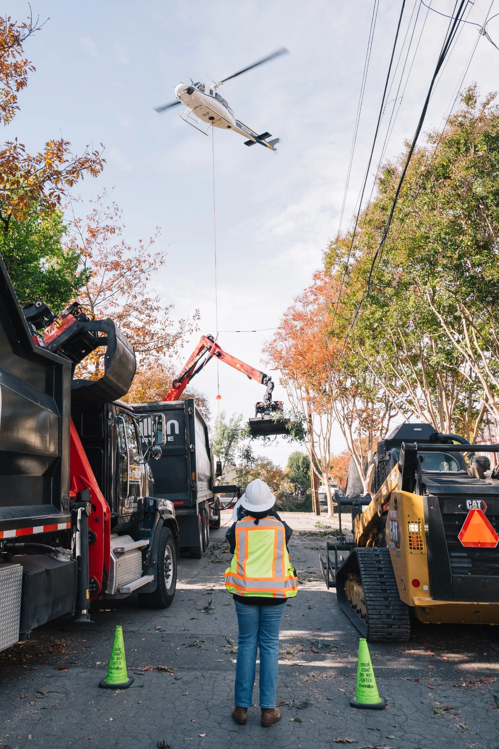 Emergency Heli Tree Removal