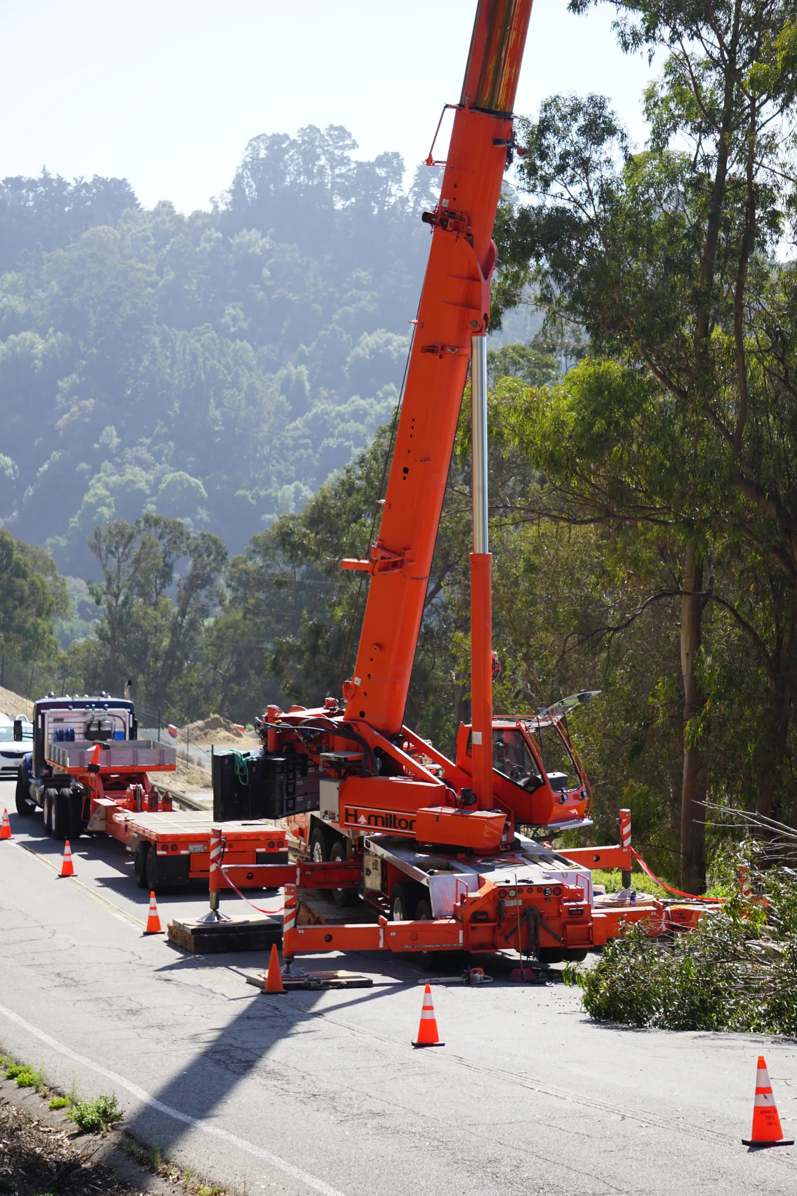 Hamilton Tree Crane Operating